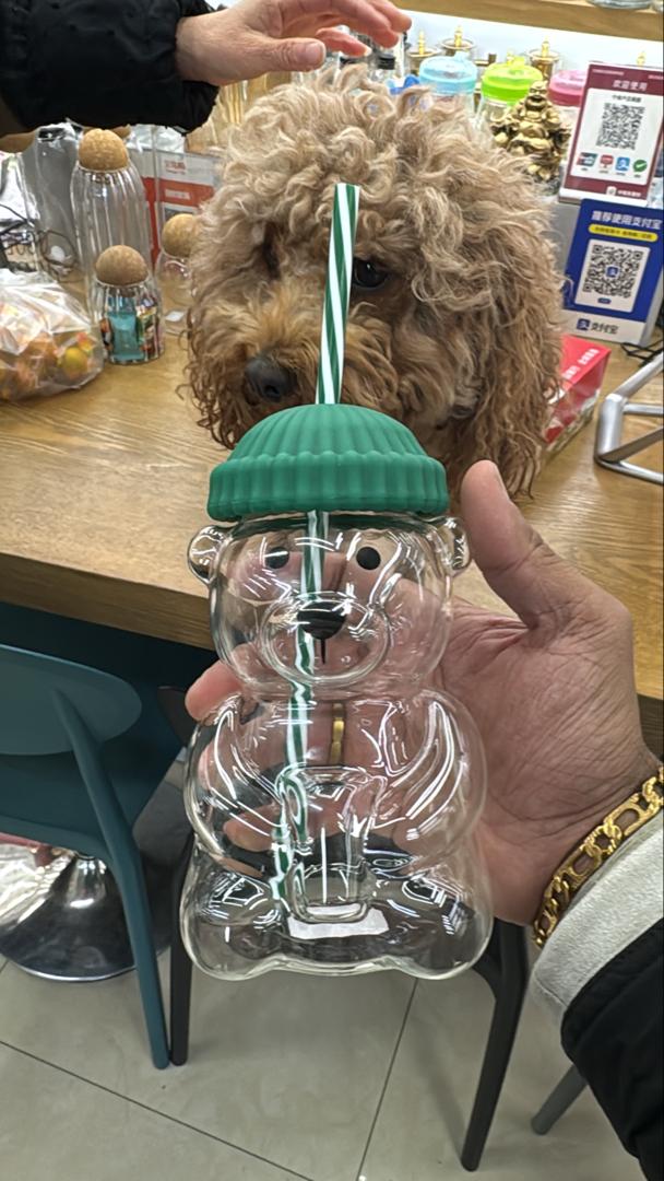 Bearista Beanie Glass Tumbler Straw Set